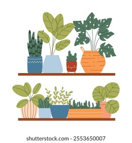 Indoor plants in a pot on a shelf. House plants are on a shelf. Vector illustration.Flat style. Modern plants in pots.