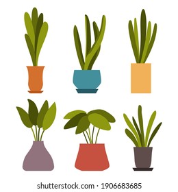 Indoor plants in pot vector cartoon set isolated on a white background.