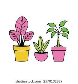 Indoor plants pots color vector design