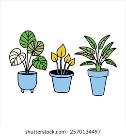 Indoor plants pots color vector five design