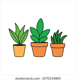 Indoor plants pots color vector design