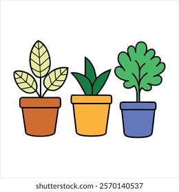 Indoor plants pots color vector arts