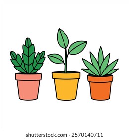 Indoor plants in pots color vector