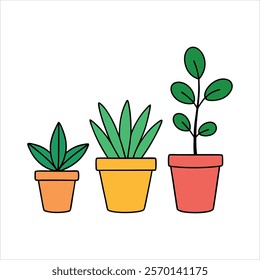 Indoor plants in a pots color vector designs