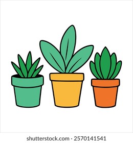 Indoor plants in a pots color vector design