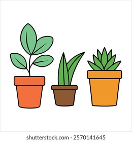 Indoor plants pots color vector art