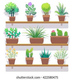 Indoor plants in pots flat icons set. Interior plant in pot and nature plant for home gardening. Vector illustration