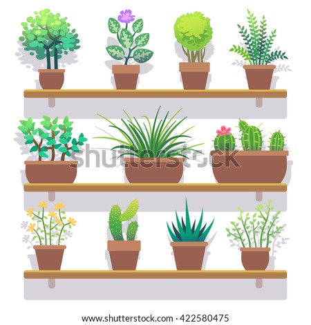 Similar – Image, Stock Photo cactus plants in greenhouse interior