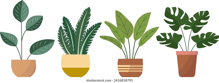 indoor plants in pots in flat style, vector