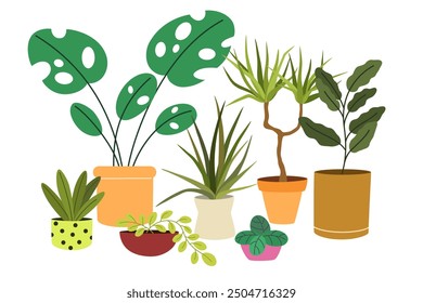 Indoor plants in pots. Green-leaf houseplants composition. Home garden with house greenery, vegetation, succulent in planter, basket, flowerpot. Flat vector illustration isolated on white background