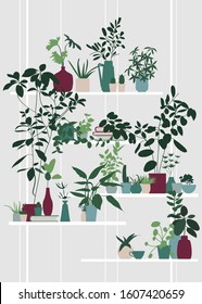 indoor plants in pots in the interior