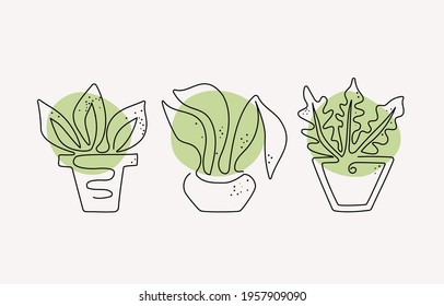 Indoor plants in pots. A set drawn with one line. Line art style. Colored spots green. Vector graphics isolated background.