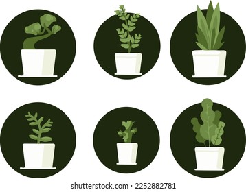 Indoor plants in pots, vector set