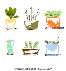 Indoor plants set
