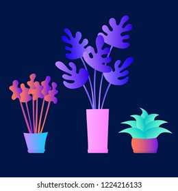 Indoor plants set. Flat design. Flower pots. Leaves. Foliage. Exotic. Gradient colors. Outdoor. Tropical.