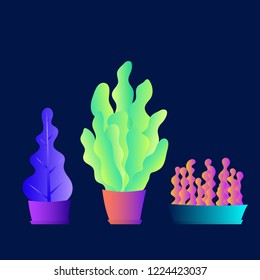 Indoor plants set. Flat design. Flower pots. Leaves. Foliage. Exotic. Gradient colors. Outdoor. Tropical.