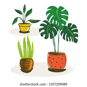 Indoor plants. Set of illustrations