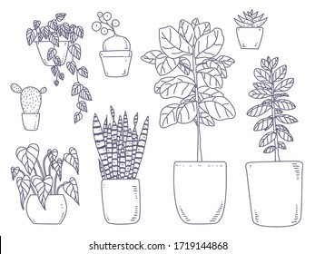 Indoor plants set isolated outline illustration in vector