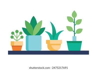Indoor plants set , minimal flat illustration on white background