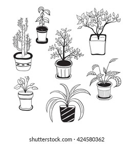 Indoor plants sketch