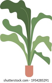 Indoor plants to spice up any illustrations.