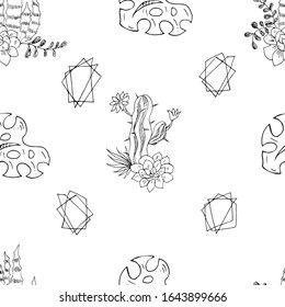  Indoor plants, succulents. Line art. Seamless pattern. Vector illustration.