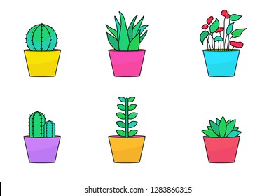indoor plants vector