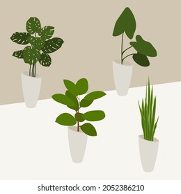 indoor plants vector green leaf