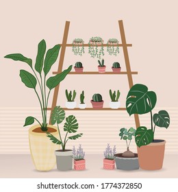 Indoor plants vector, Hand drawing style on wooden shelf, Vector set green plant in the pot.