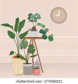Indoor plants vector, Hand drawing style on wooden shelf, Vector set green plant in the pot.