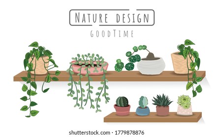 Indoor Plants Vector, Hand Drawing Style On Wooden Shelf, Vector Set Green Plant In The Pot.