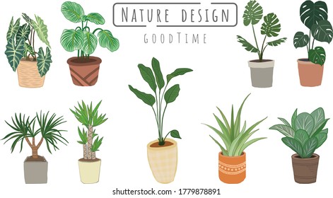 Indoor plants vector, Hand drawing style on wooden shelf, Vector set green plant in the pot.