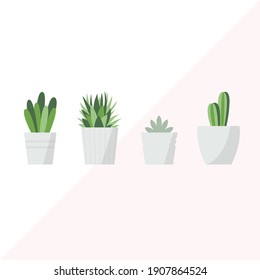 Ilustración vectorial de plantas interiores. Cactus y suculentos en macetas grises sobre fondo blanco y rosa. Plantas de vivienda, diseño interior, conceptos de estilo de vida.