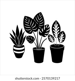 Indoor plants vector silhouette black and white