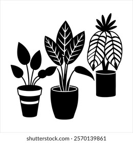 Indoor plants vector silhouette design