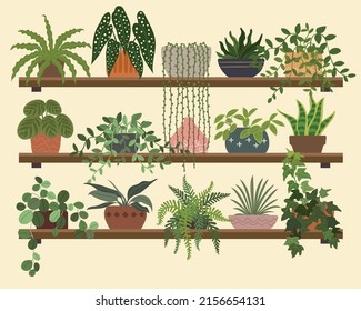 Indoor Plants Wall Wood Panels 