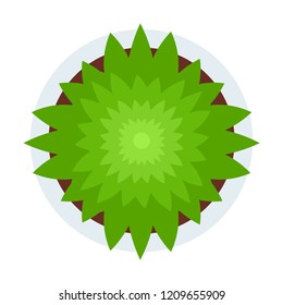 Indoor potted green plant top view flat single icon vector isolated on white