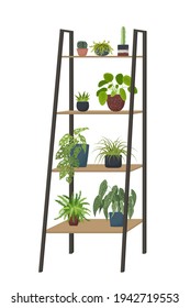 Indoor potted house plants on the shelf. Urban jungle, trendy decor. Home garden. Design for flower shop banner, poster, ad. Cartoon flat Vector illustration isolated on white background