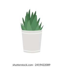 Indoor potted houseplant. Decorative plants, botanicals flower cartoon vector illustration