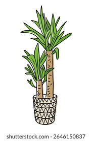 Indoor potted palm plant with long green leaves and textured stems in hand drawn style. Concept of home decor, tropical greenery, and indoor nature aesthetic
