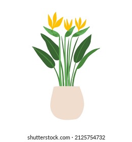 Indoor Potted Plant Bird Of Paradise Illustration