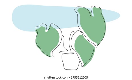 Indoor potted plant continuous line drawing vector. Monstera, philodendron split leaf hand drawn floral silhouette.Isolated on white background