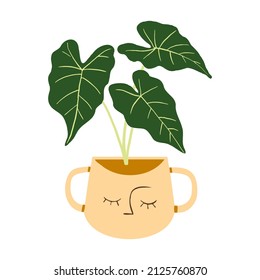 Indoor potted plant green velvet alocasia illustration