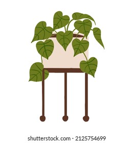 Indoor potted plant heart leaf philodendron illustration