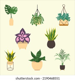 Indoor potted plant illustration. Home Decor. Tropical leaves in stylish planters and pots.