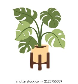 Plantas interiores monstera deliciosa ilustración