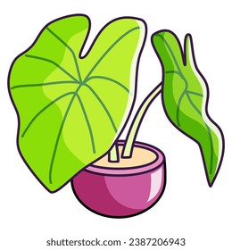 Indoor Potted Plant vector illustration asset element