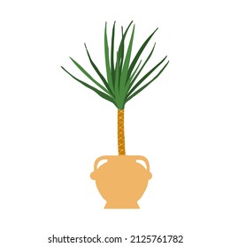 Indoor potted plant yucca illustration