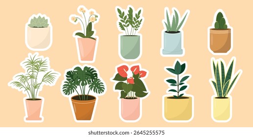 СColeção de plantas em vasos interiores, conjunto de adesivos. Famílias populares como suculentas, cactos, monstera, palma, antúrio, sansevieria, orquídea, aloé vera e ficus. Ilustração vetorial, estilo plano.