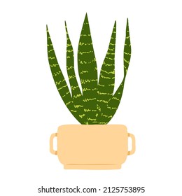 Indoor Potted Snake Plant Black Coral Princess Illustration